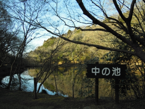 泉自然公園中の池