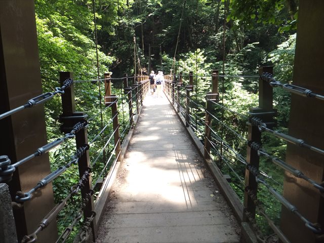 高尾山4号路 吊り橋