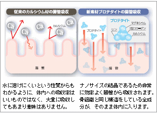 プロテタイト プロテタイト