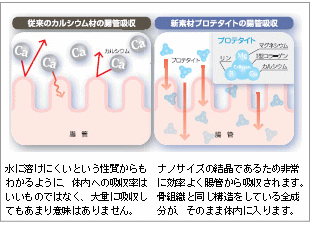 プロテタイト