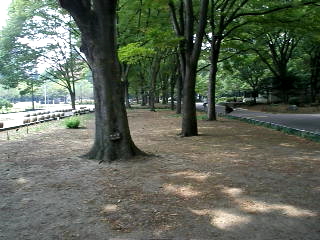 日比谷公園