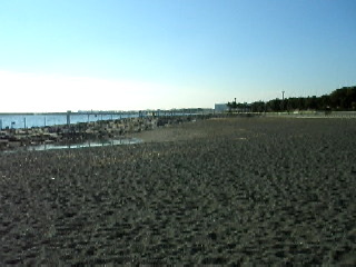 城南島海浜公園砂浜