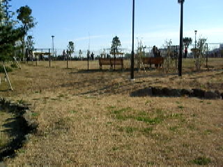 城南島海浜公園ドッグラン