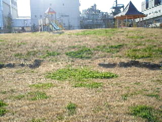 城南島海浜公園遊具