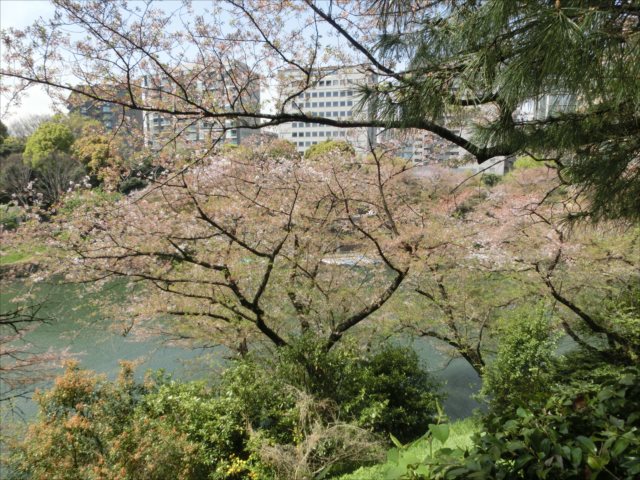 北の丸公園から