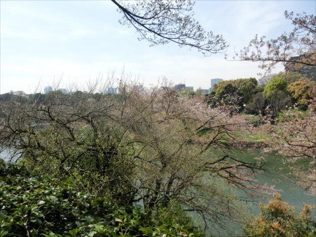 北の丸公園から