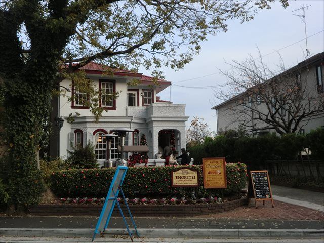 えの木てい えの木てい