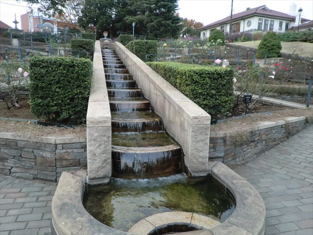 港の見える丘公園ローズガーデン 港の見える丘公園ローズガーデン