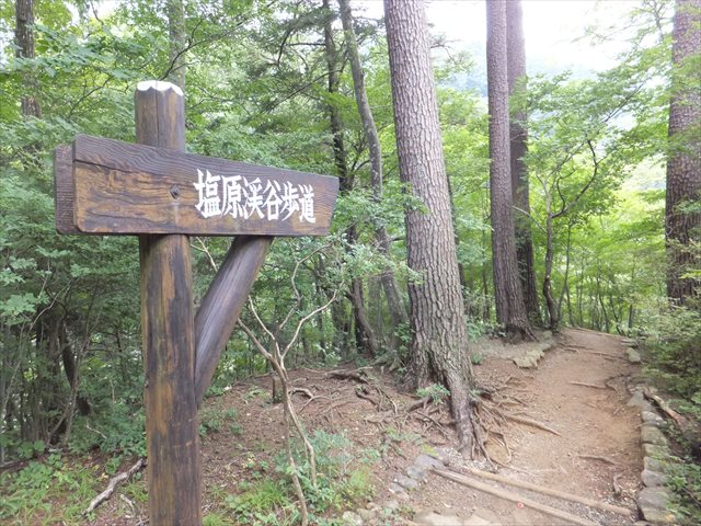 ガマ石園地からの遊歩道 ガマ石園地からの遊歩道