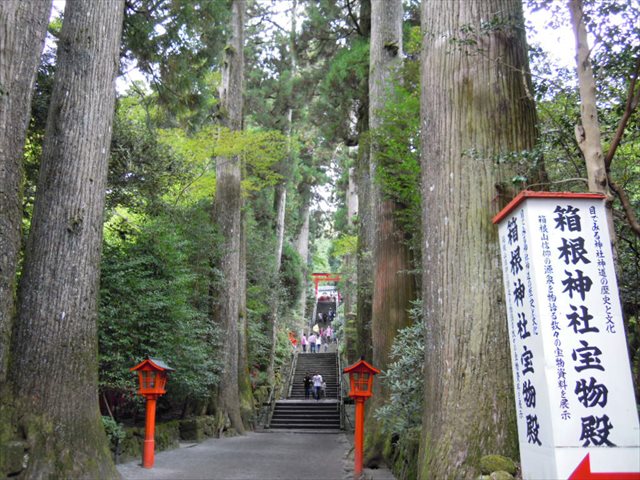 箱根神社 参道石段 箱根神社 参道石段