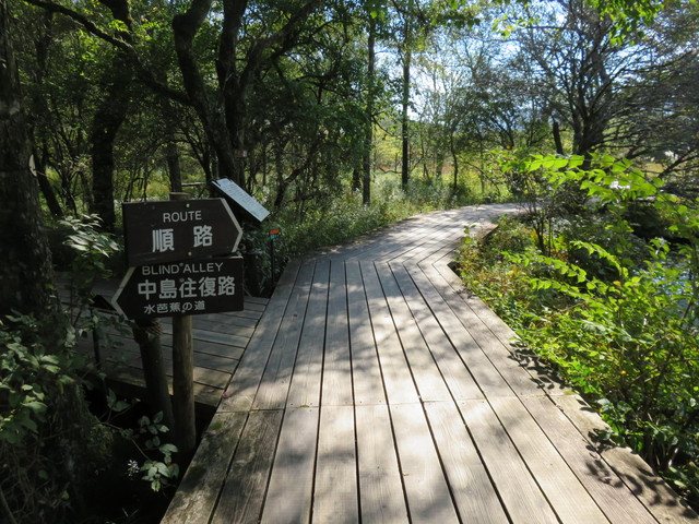 箱根湿生花園 箱根湿生花園
