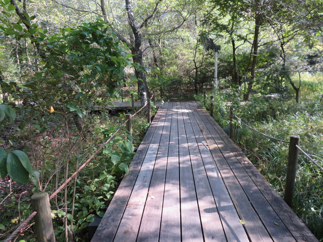 箱根湿生花園 箱根湿生花園