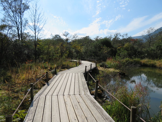 箱根湿生花園 箱根湿生花園