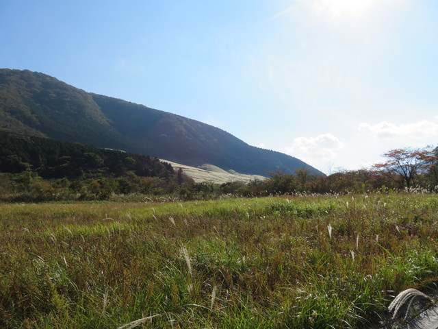 箱根湿生花園 箱根湿生花園