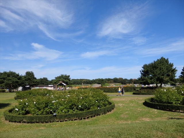 西口エリア 西口エリア