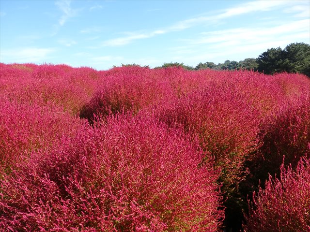 みはらしの丘 みはらしの丘