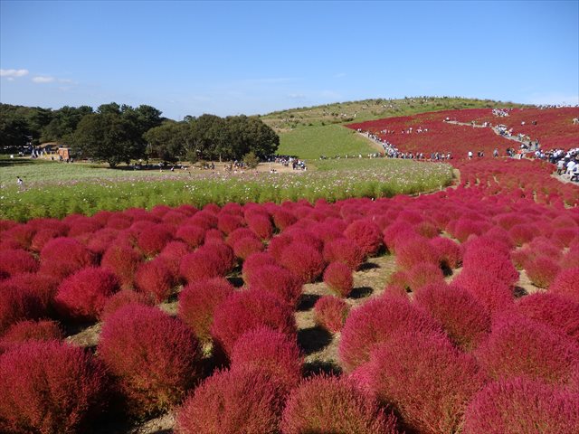 みはらしの丘 みはらしの丘
