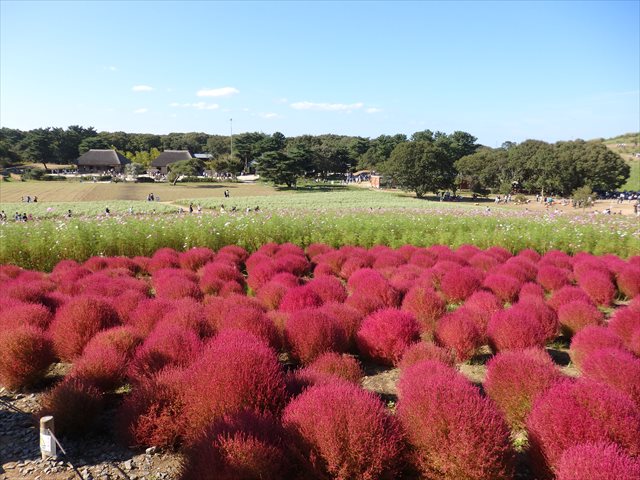 みはらしの丘 みはらしの丘