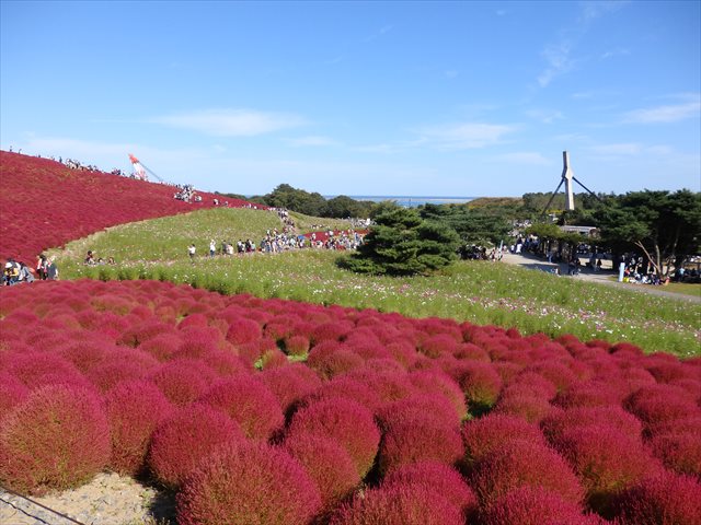 みはらしの丘 みはらしの丘