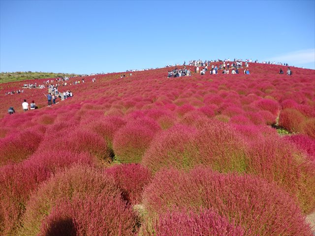 みはらしの丘 みはらしの丘