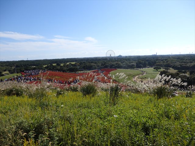 みはらしの丘 みはらしの丘