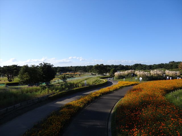 草原エリア 草原エリア